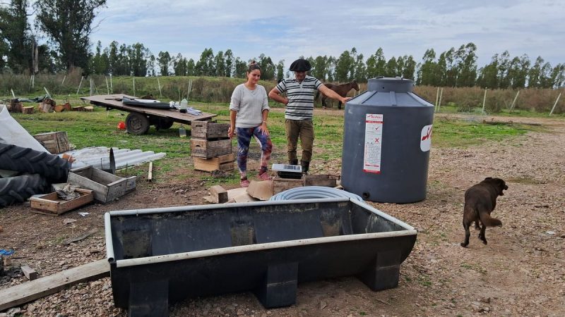 El proyecto que permite que ganaderos sean más eficientes y cuidadosos en el uso del agua del Santa Lucía
