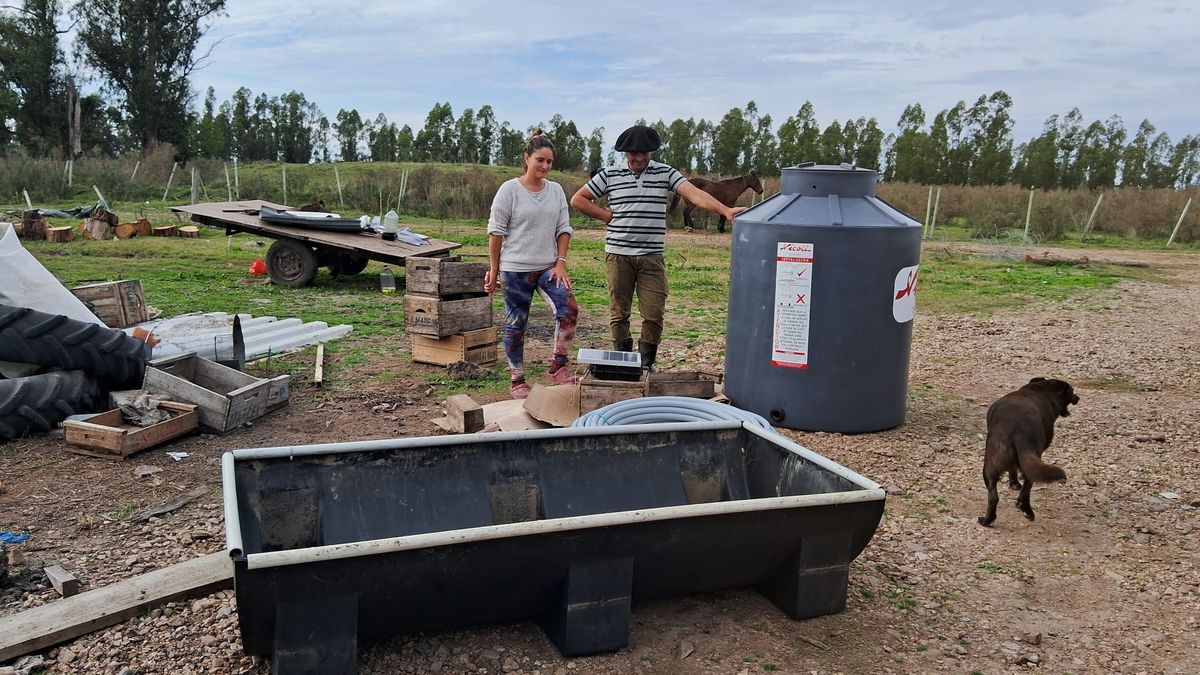 El proyecto que permite que ganaderos sean más eficientes y cuidadosos en el uso del agua del Santa Lucía
