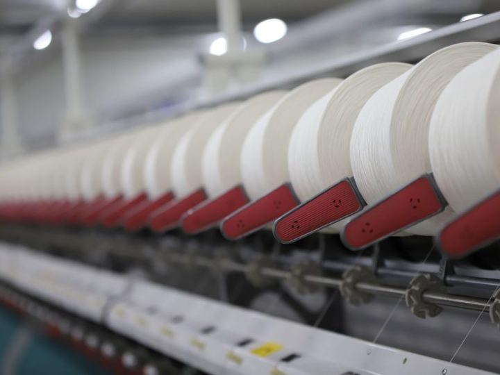 En un mercado del rubro ovino muy firme las lanas cierran la zafra con subas de más de 70%