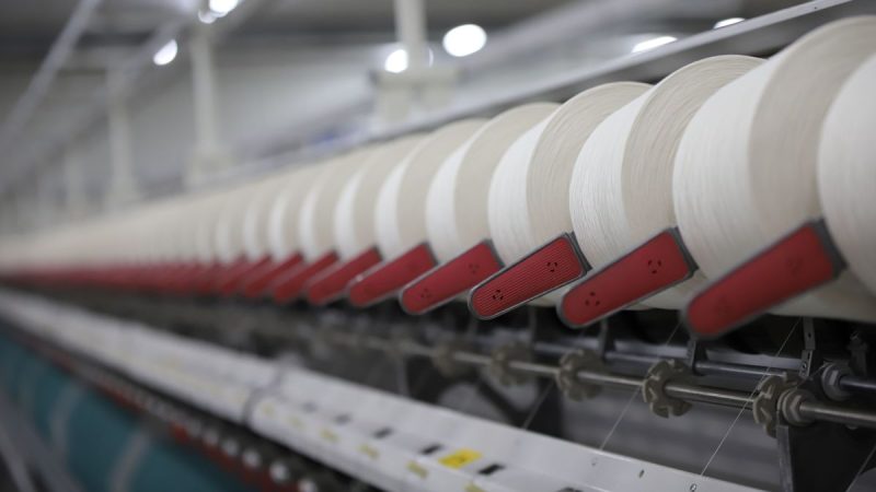 En un mercado del rubro ovino muy firme las lanas cierran la zafra con subas de más de 70%
