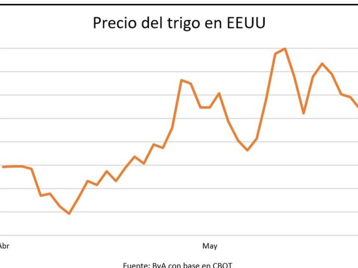 El precio del trigo se desploma en una semana de ajustes para los granos