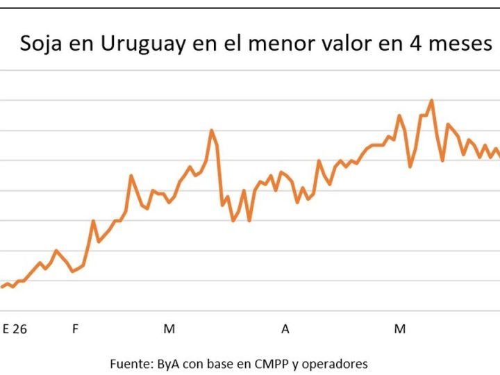 Expectativa en el mercado de granos por posible acuerdo entre Estados Unidos e Irán