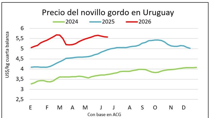 Mejora gradual de la faena de vacunos e indicios de aumento en los precios del ganado