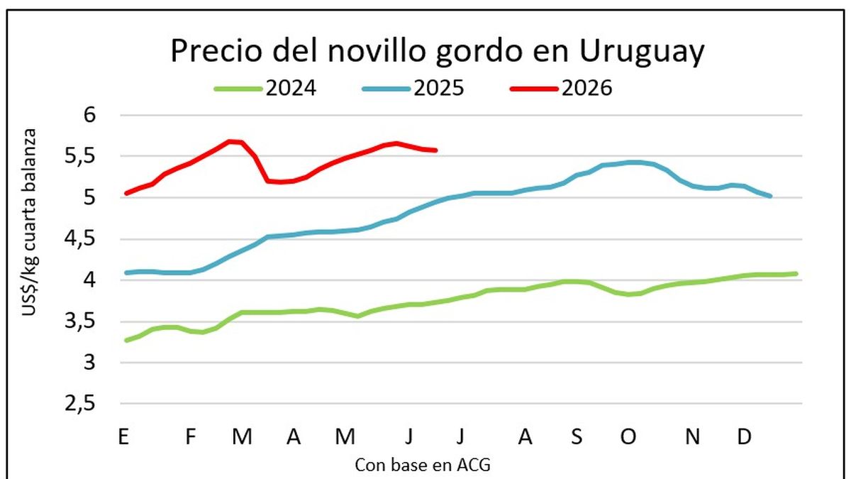 Mejora gradual de la faena de vacunos e indicios de aumento en los precios del ganado
