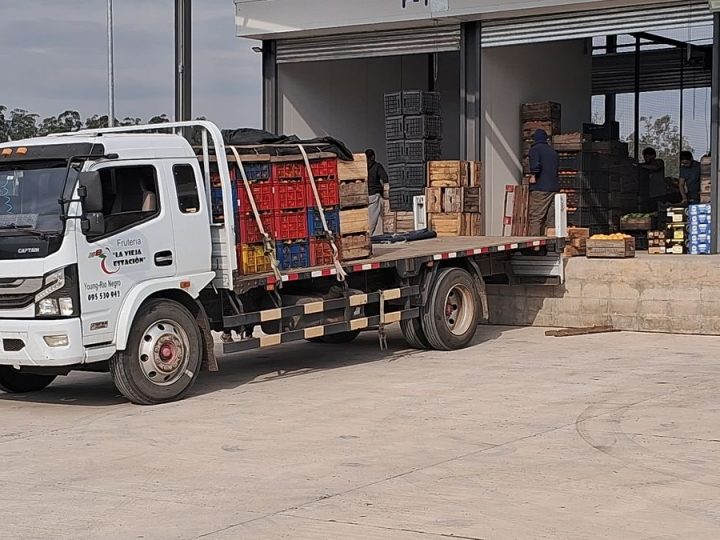 A un mes de la apertura de la Central Hortícola del Norte, en qué está la ocupación y los primeros impactos