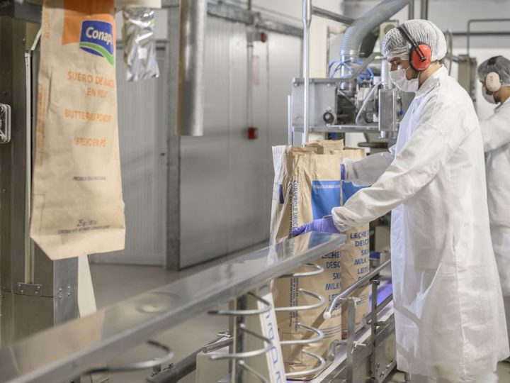 Exportaciones de lácteos superan las 100 mil toneladas y se arriman a los US$ 500 millones