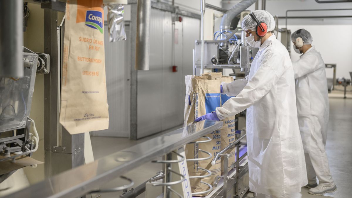 Exportaciones de lácteos superan las 100 mil toneladas y se arriman a los US$ 500 millones