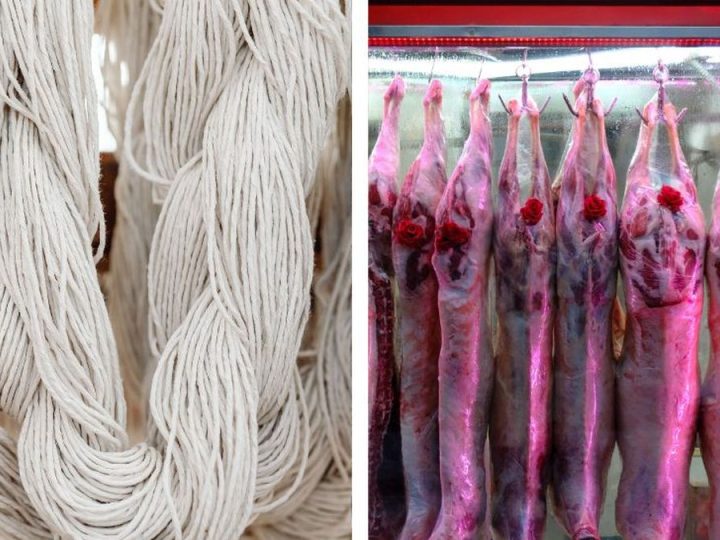 Ingresos por exportaciones del rubro ovino crecieron 40% con fuerte empuje de lanas y carne
