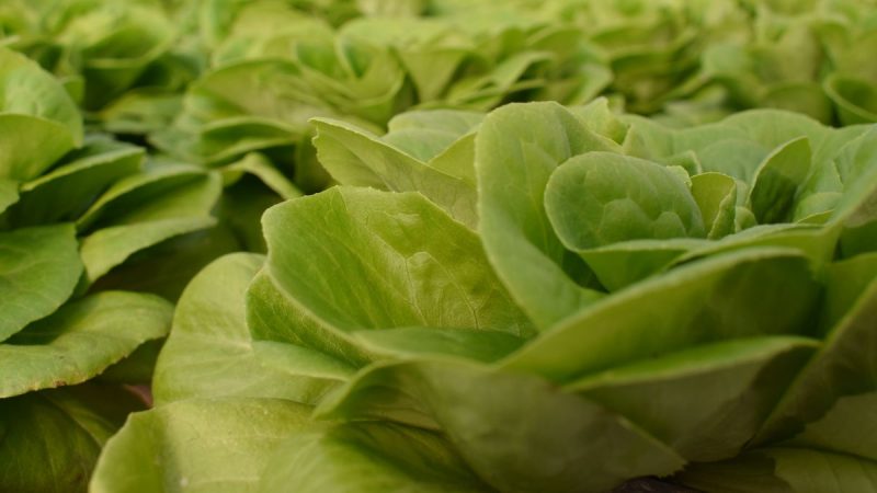 Mercado de frutas y verduras con más rubros en baja que al alza, una nueva Lista Inteligente y varias ofertas