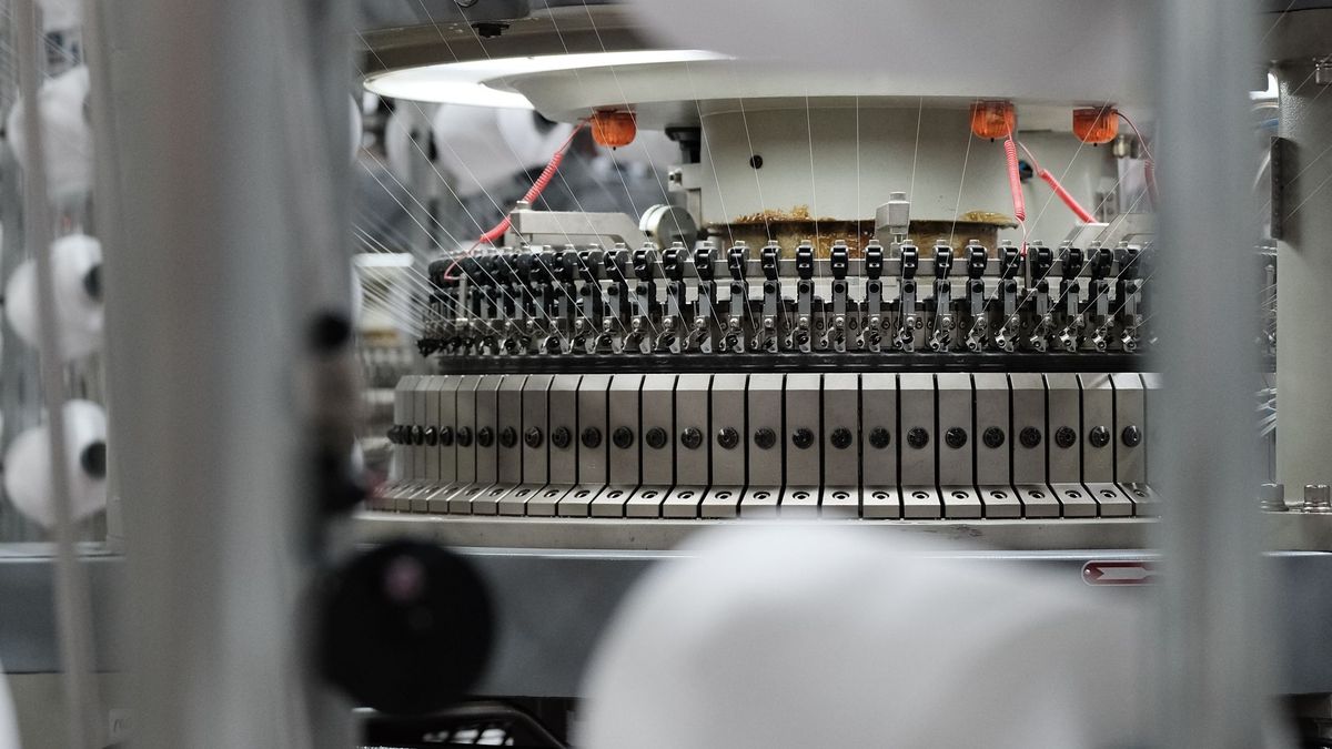 Ajuste en el precio de la lana y valores firmes por los corderos y la carne ovina de exportación