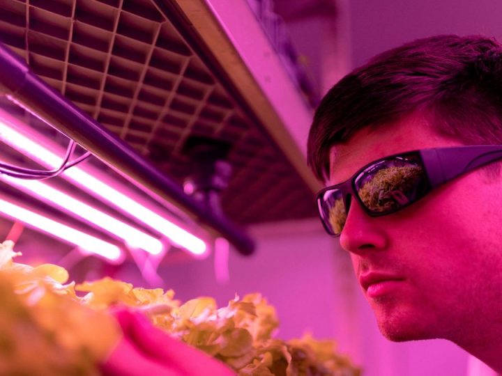 Detalles de un llamado para acelerar startups y nuevos datos del ecosistema agrifoodtech de la región