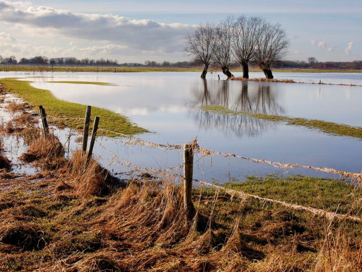 A dos meses de la llegada de El Niño, la lista de oportunidades y amenazas para el agro de Uruguay