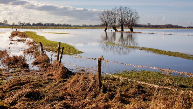A dos meses de la llegada de El Niño, la lista de oportunidades y amenazas para el agro de Uruguay