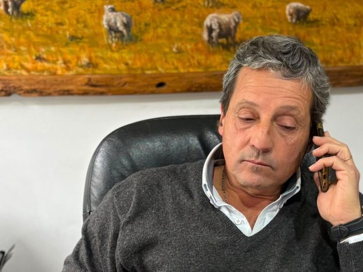 El valor del consignatario de lana y el desafío de elevar el stock ahora que los precios mejoraron