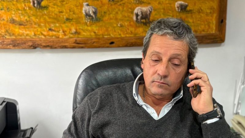 El valor del consignatario de lana y el desafío de elevar el stock ahora que los precios mejoraron