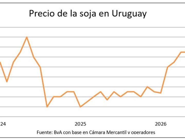 Los granos siguen al alza y en Uruguay alcanzan los mayores precios en años