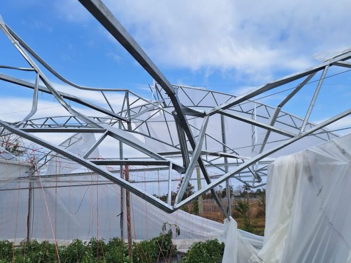 El gobierno decretó la emergencia granjera en Salto por las consecuencias del temporal: qué implica