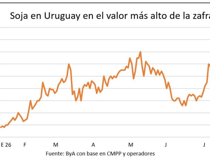 La soja de 2027 logra hasta US$ 420 por tonelada en un escenario de varios precios de granos al alza