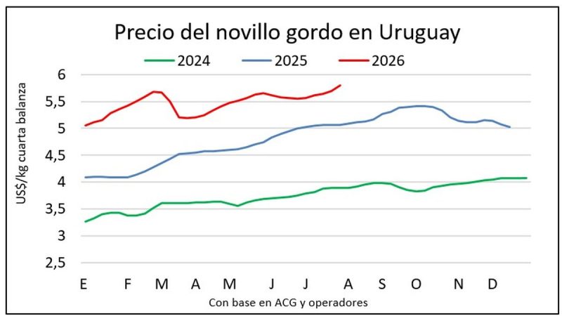 Los precios de novillos y terneros cierran julio con nuevos máximos en la historia